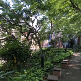 チャペル周りの中庭