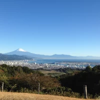 庭園から見える富士山。