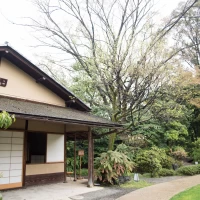 茶室も素敵です