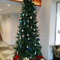 クリスマスツリー