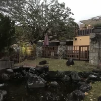 庭