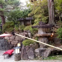 庭