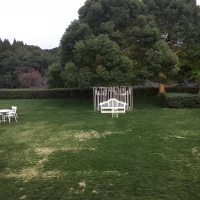 披露宴会場から見える景色景色です