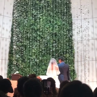 天井高いです。