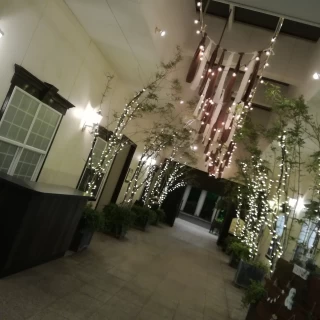 夜のライトアップもとてもきれいです