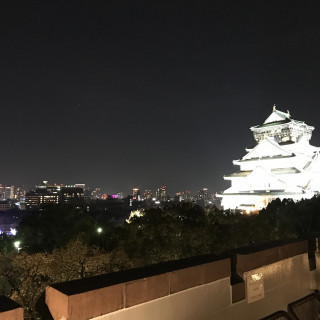 眼前に見える大阪城。実際見たほうがより迫力があります。