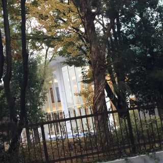 外から