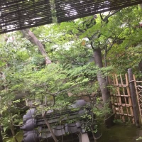 中庭の緑が綺麗でした