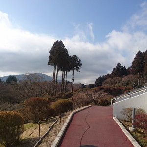 辺り一面ツツジが植えてあります|488198さんの小田急山のホテルの写真(573354)