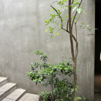 各所に植物があり、優しさを感じました