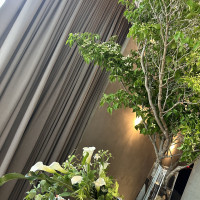 とにかく緑が多かったです