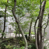 とにかく緑がたくさんで、気持ちの良い会場でした