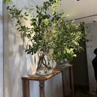 美しく整えられている植物に癒されました