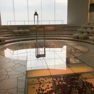 ザ・アークティック