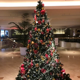 ロビーのクリスマスツリー