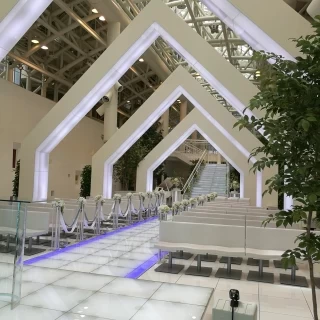 枠の従が光ります