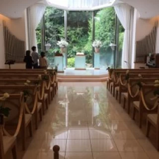 緑を取り入れたい方にぴったりだと思います