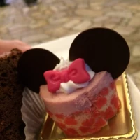 ミニーちゃんがかわいい！