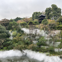 雲海