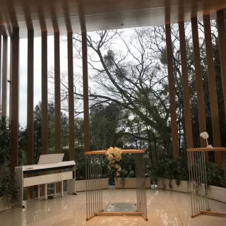 ガラスの向こうの緑が素敵です