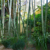 ガーデンのすぐ横は竹でした