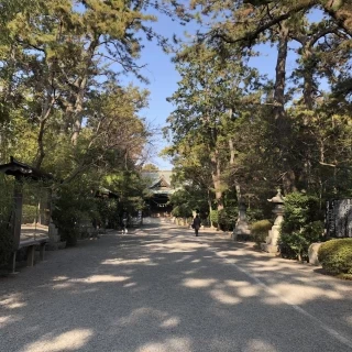 長い参道を歩くことができます