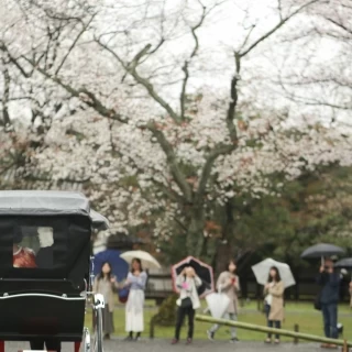 人力車で城内一周をする際、観光客から祝福