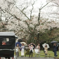 人力車で城内一周をする際、観光客から祝福