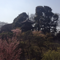 椿山荘ならではの庭園。