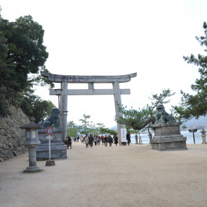 港より厳島神社へ向かう海沿いの道。鳥居から情緒が感じられる。|491464さんの厳島神社の写真(570173)