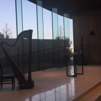 生演奏に使用されるハープ