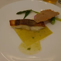 料理
