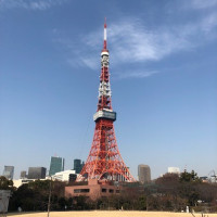 内庭から見える東京タワー