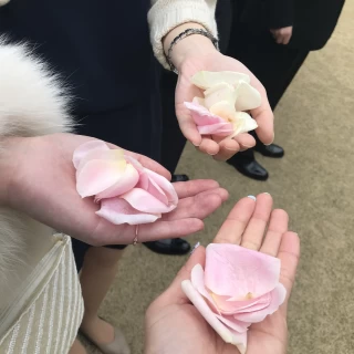 挙式後は外でフラワーシャワー！