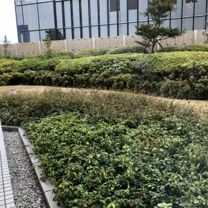 日本庭園|492337さんのウェスティンホテル大阪の写真(574202)