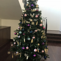 ウェルカムスペースにクリスマスツリーが飾られていました