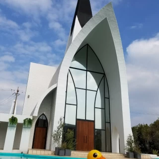 プールがあるためアヒルを浮かばせました。