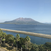 会場から見える桜島