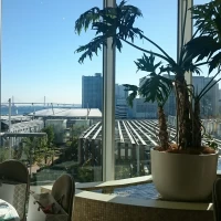 周りに高い建物がないので光が入ってきて明るいです