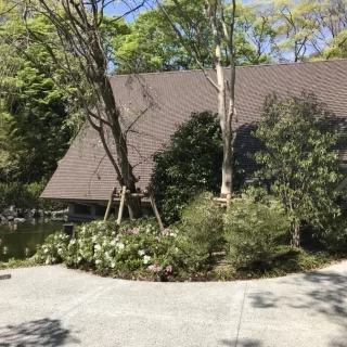天井低めの木造のチャペル