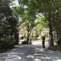 公園を歩いてるような気持ちいい景色