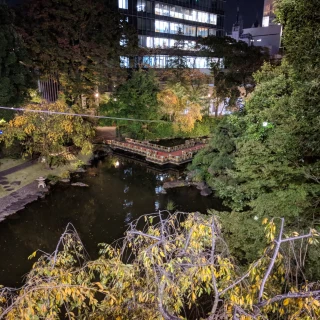庭園2