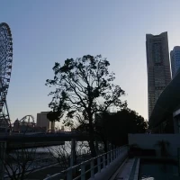 チャペルの外の景色