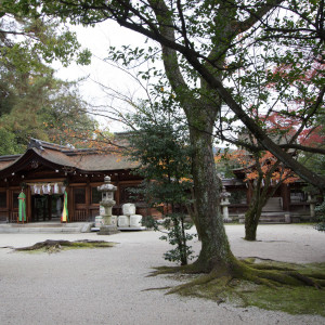 広々とした敷地内ですが、迷うことなく控室に向かえます。|494778さんの豊国神社の写真(587327)