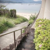 この階段をおりて浜辺で写真撮影が出来ます。