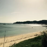 会場庭からの景色になります。