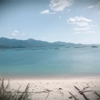 会場から浜辺に降りたすぐの景色です。