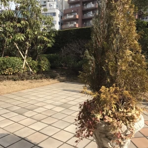 冬なので花がないが、あたたかい季節なら良さそう|495505さんのホテルグランドパレス（営業終了）の写真(587129)