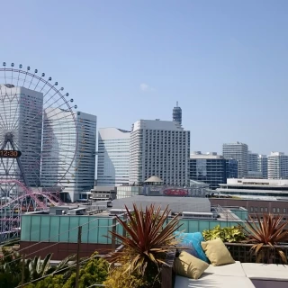 屋上から見える風景