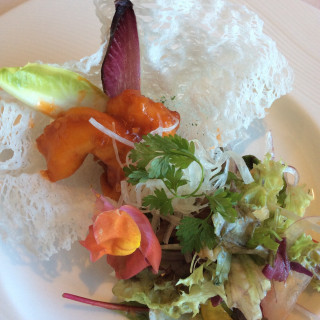 料理